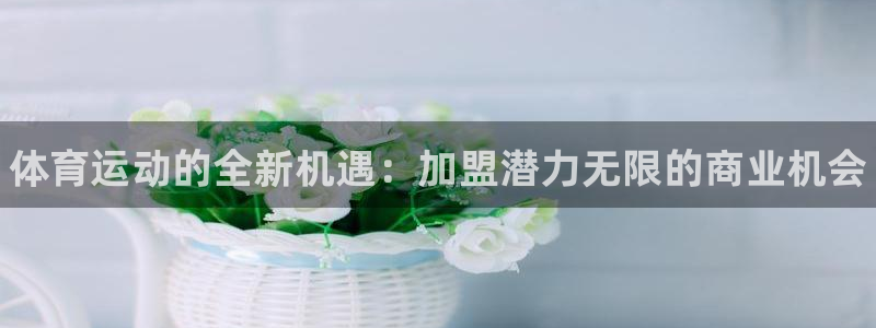 vsport体育官网下载联系电话：体育运动的全新机遇：加盟潜