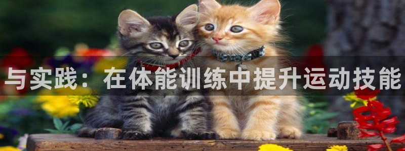 vsport体育官方正版app娱乐是那个系列的台子