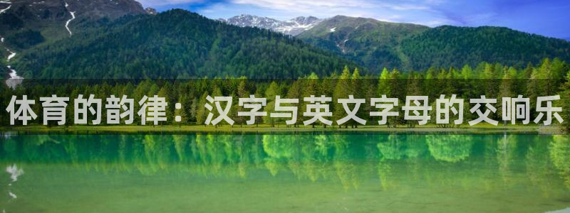 vsport体育官网下载平台是正规平台吗安全吗：体育