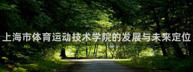 vsport体育官方正版app娱乐平台