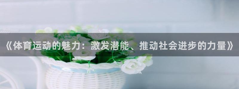 vsport体育官网下载招商电话是多少：《体育运动的魅力：激