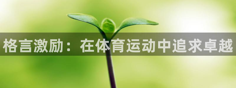 vsport体育官方正版app集团官网首页：格言激励：在体育
