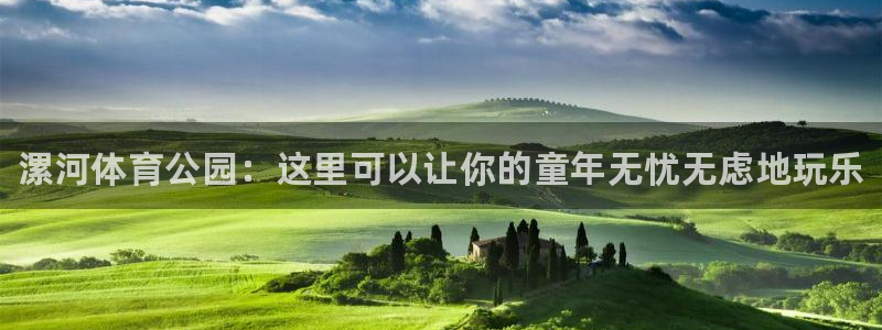 vsport体育官方正版app集团E.ON