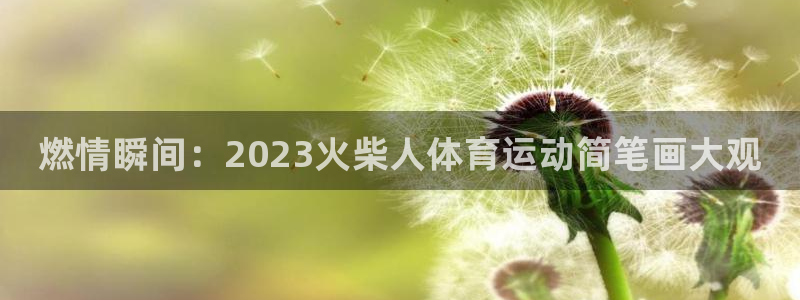 vsport体育官网下载招商电话地址：燃情瞬间：2023火柴