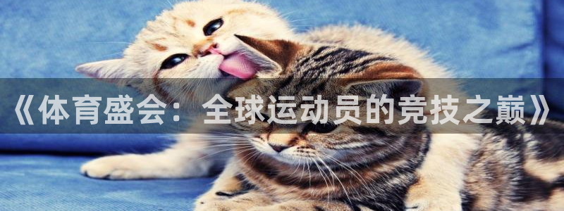 vsport体育官网下载招商电话号码：《体育盛会：全球运动员