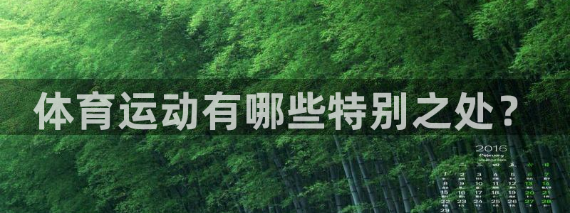 vsport体育官方正版app娱乐是那个系列的台子：