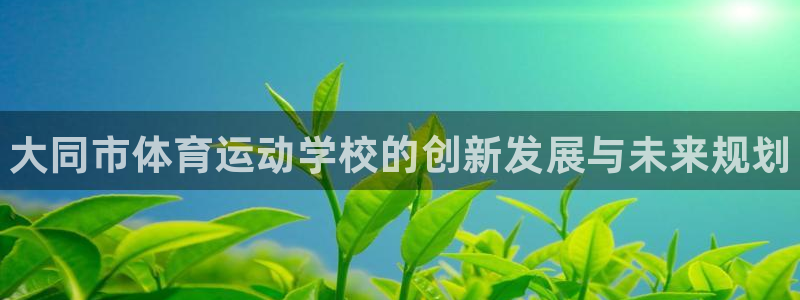 vsport体育官方正版app集团：大同市体育运动学校的创新