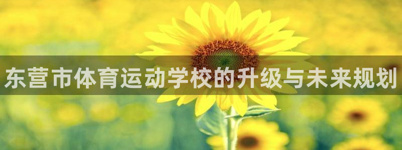 vsport体育官网下载平台是正规平台吗安全吗：东营市体育运