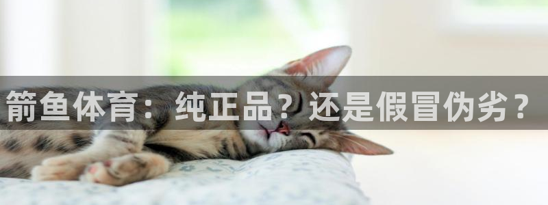 vsport体育官方正版app开户：箭鱼体育：纯正品