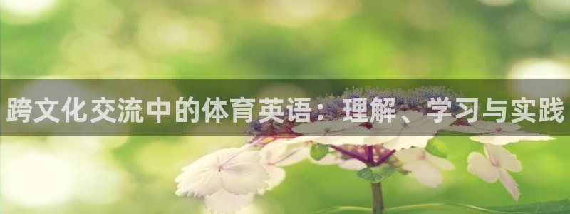 vsport体育官方正版app集团logo：跨文化交