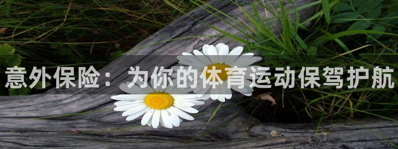 vsport体育官方正版app娱乐平台：意外保险：为