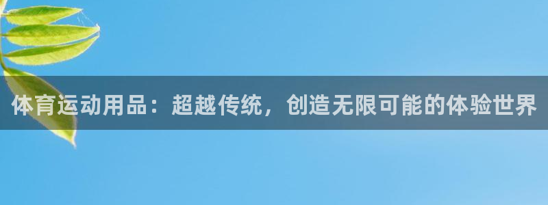 vsport体育官方正版app集团官网首页网址