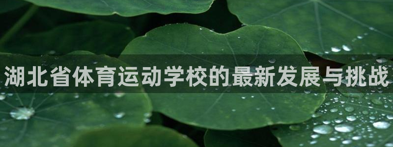 vsport体育官方正版app娱乐