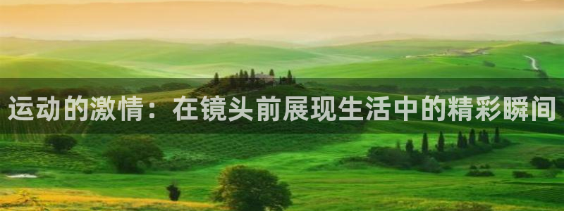 vsport体育官方正版app娱乐是那个系列的台子：