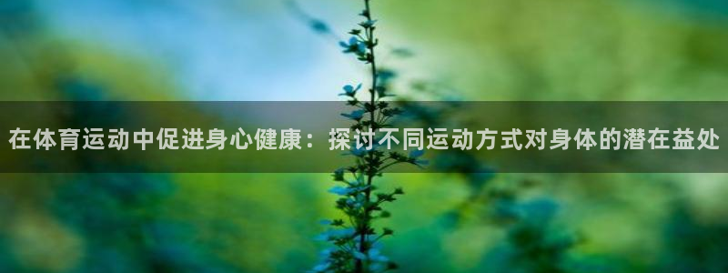 vsport体育官方平台体育