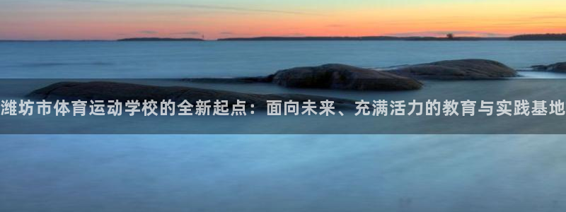 vsport体育官方正版app官网：潍坊市体育运动学校的全新