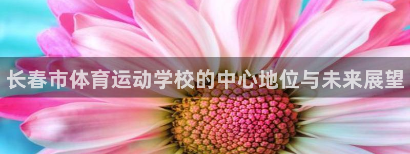 vsport体育官方正版app娱乐是那个系列的台子