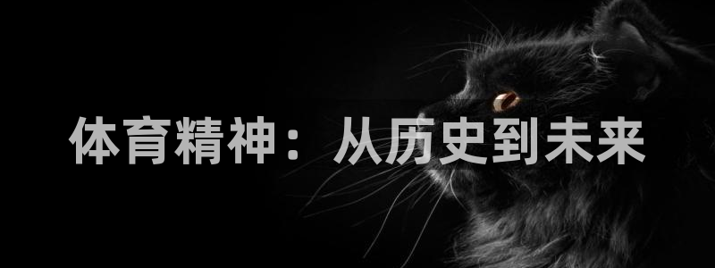 vsport体育官方平台体育：体育精神：从历史到未来