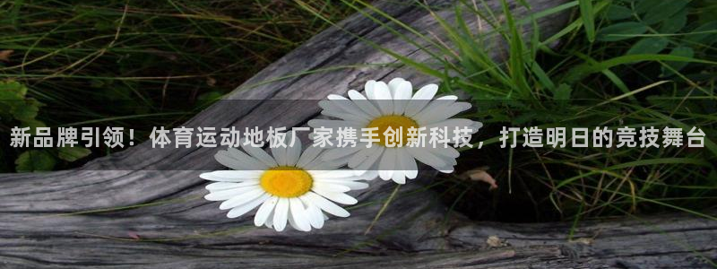 vsport体育官方正版app娱乐是那个系列的台子