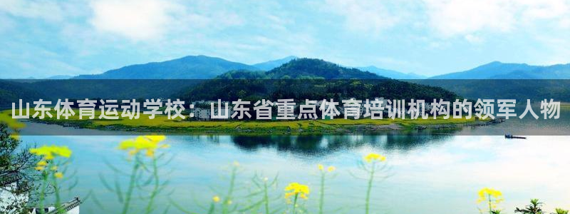 vsport体育官方正版app集团官网首页：山东体育