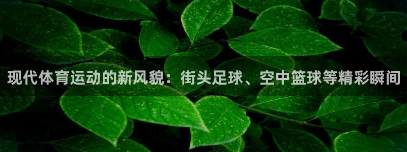 vsport体育官方正版app集团E.ON：现代体育
