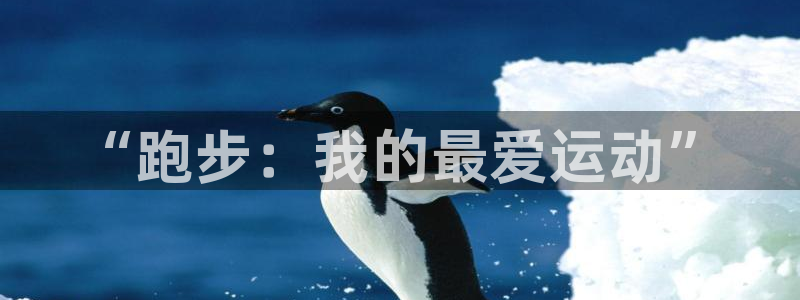 vsport体育官方正版app集团简介：“跑步：我的