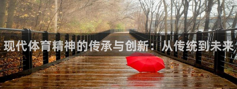 vsport体育官网下载平台注册流程视频：现代体育精