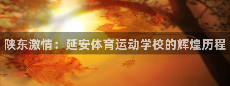 vsport体育官网下载招商电话地址：陕东激情：延安