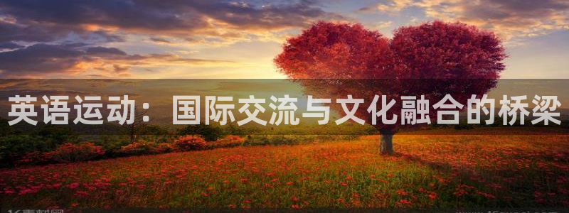 vsport体育官网下载招商电话地址：英语运动：国际交流与文