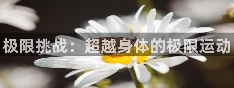 注册vsport体育官方正版app：极限挑战：超越身体的极限