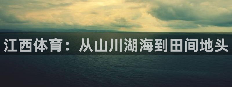 vsport体育官方正版app娱乐代理怎么样