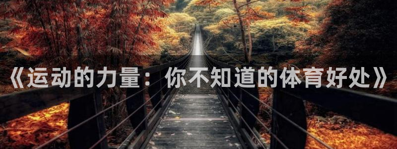海南vsport体育官网下载：《运动的力量：你不知道