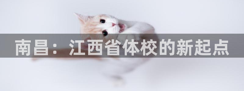 vsport体育官方正版app官方