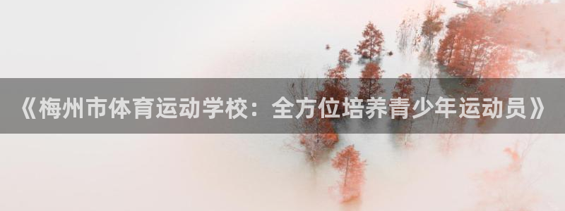 vsport体育官网下载招商：《梅州市体育运动学校：全方位培