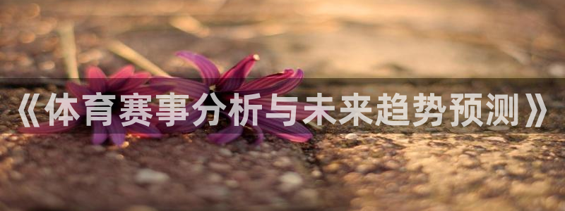 vsport体育官方正版app五金厂：《体育赛事分析