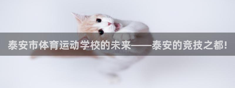 vsport体育官网下载招商电话号码是多少啊：泰安市体育运动