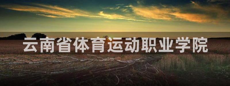 vsport体育官方正版app集团E.ON：云南省体育运动职