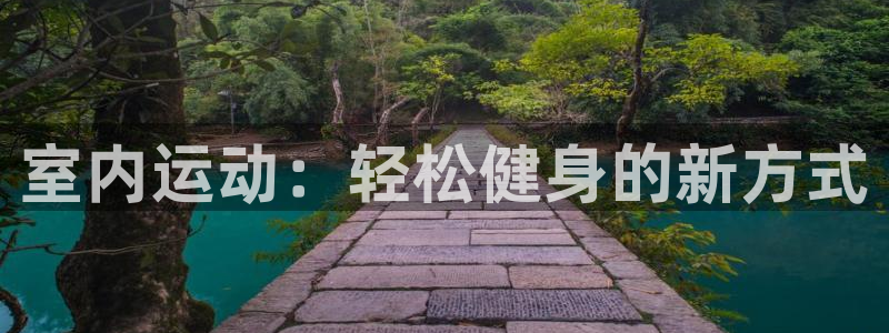 vsport体育官方正版app新能源：室内运动：轻松健身的新